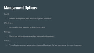 Management Options
Goal 3:
1. Pass over management plans practices to private landowner
Objective 3:
1. Increase education resources by 50% with in 1 year
Strategy 3:
1. Educate the private landowner and the surrounding landowners
Action 3:
1. Private landowner starts taking actions that would maintain the late successional forest on the property
 