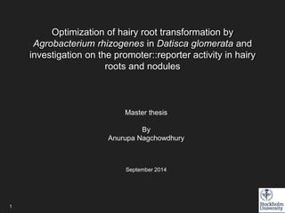 Optimization of hairy root transformation by
Agrobacterium rhizogenes in Datisca glomerata and
investigation on the promoter::reporter activity in hairy
roots and nodules
Master thesis
By
Anurupa Nagchowdhury
September 2014
!
!
!
1
 
