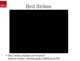 Bird Strikes
• http://www.youtube.com/watch?
feature=player_detailpage&v=5jN0bqL9cM0
 