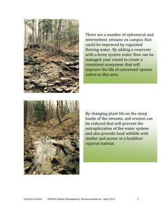 Christine Dahlin Wildlife Habitat Management Recommendations, April 2015 3
There are a number of ephemeral and
intermittent streams on campus that
could be improved by regulated
flowing water. By adding a reservoir
with a levee system water flow can be
managed year round to create a
consistent ecosystem that will
improve the life of concerned species
native to this area.
By changing plant life on the steep
banks of the streams, soil erosion can
be reduced that will prevent the
eutrophication of the water system
and also provide local wildlife with
shelter and access to a healthier
riparian habitat.
 