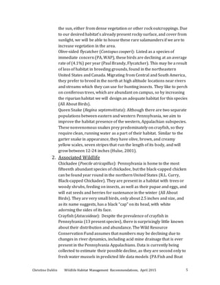 Christine Dahlin Wildlife Habitat Management Recommendations, April 2015 5
the sun, either from dense vegetation or other rock outcroppings. Due
to our desired habitat’s already present rocky surface, and cover from
sunlight, we will be able to house these rare salamanders if we are to
increase vegetation in the area.
Olive-sided flycatcher (Contopus cooperi): Listed as a species of
immediate concern (PA, WAP), these birds are declining at an average
rate of (4.1%) per year (Paul Brandy, Flycatcher). This may be a result
of loss of habitat in breeding grounds, found in the northeastern
United States and Canada. Migrating from Central and South America,
they prefer to breed in the north at high altitude locations near rivers
and streams which they can use for hunting insects. They like to perch
on coniferous trees, which are abundant on campus, so by increasing
the riparian habitat we will design an adequate habitat for this species
(All About Birds).
Queen Snake (Regina septemvittata): Although there are two separate
populations between eastern and western Pennsylvania, we aim to
improve the habitat presence of the western, Appalachian subspecies.
These nonvenomous snakes prey predominately on crayfish, so they
require clean, running water as a part of their habitat. Similar to the
garter snake in appearance, they have olive, brown, and creamy
yellow scales, seven stripes that run the length of its body, and will
grow between 12-24 inches (Hulse, 2001).
2. Associated Wildlife
Chickadee (Poecile atricapillus): Pennsylvania is home to the most
fifteenth abundant species of chickadee, but the black-capped chicken
can be found year round in the northern United States (R.L. Curry,
Black-capped Chickadee). They are present in a habitat with trees or
woody shrubs, feeding on insects, as well as their pupae and eggs, and
will eat seeds and berries for sustenance in the winter (All About
Birds). They are very small birds, only about 2.5 inches and size, and
as its name suggests, has a black “cap” on its head, with white
adorning the sides of its face.
Crayfish (Astacoideae): Despite the prevalence of crayfish in
Pennsylvania (13 present species), there is surprisingly little known
about their distribution and abundance. The Wild Resource
Conservation Fund assumes that numbers may be declining due to
changes in river dynamics, including acid mine drainage that is ever
present in the Pennsylvania Appalachians. Data is currently being
collected to estimate their possible decline, as they are second only to
fresh water mussels in predicted life data models (PA Fish and Boat
 