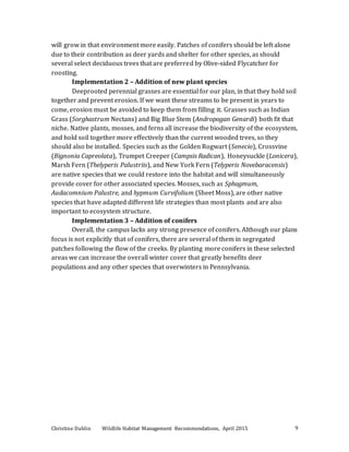 Christine Dahlin Wildlife Habitat Management Recommendations, April 2015 9
will grow in that environment more easily. Patches of conifers should be left alone
due to their contribution as deer yards and shelter for other species, as should
several select deciduous trees that are preferred by Olive-sided Flycatcher for
roosting.
Implementation 2 – Addition of new plant species
Deeprooted perennial grasses are essential for our plan, in that they hold soil
together and prevent erosion. If we want these streams to be present in years to
come, erosion must be avoided to keep them from filling it. Grasses such as Indian
Grass (Sorghastrum Nectans) and Big Blue Stem (Andropogan Genardi) both fit that
niche. Native plants, mosses, and ferns all increase the biodiversity of the ecosystem,
and hold soil together more effectively than the current wooded trees, so they
should also be installed. Species such as the Golden Rogwart (Senecio), Crossvine
(Bignonia Capreolata), Trumpet Creeper (Campsis Radican), Honeysuckle (Lonicera),
Marsh Fern (Thelyperis Palustriis), and New York Fern (Telyperis Novebaracensis)
are native species that we could restore into the habitat and will simultaneously
provide cover for other associated species. Mosses, such as Sphagmum,
Audacomnium Palustre, and hypmum Curvifolium (Sheet Moss), are other native
species that have adapted different life strategies than most plants and are also
important to ecosystem structure.
Implementation 3 – Addition of conifers
Overall, the campus lacks any strong presence of conifers. Although our plans
focus is not explicitly that of conifers, there are several of them in segregated
patches following the flow of the creeks. By planting more conifers in these selected
areas we can increase the overall winter cover that greatly benefits deer
populations and any other species that overwinters in Pennsylvania.
 