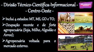 - Divisão Técnico-Científica-Informacional -
- Centro-Oeste -
➢Inclui 4 estados: MT, MS, GO e TO;
➢Ocupação recente e de forte
agropecuária (Soja, Milho, Algodão e
Arroz);
➢Agropecuária voltada para o
mercado externo.
 