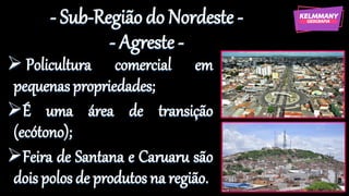 - Sub-Região do Nordeste -
- Agreste -
➢ Policultura comercial em
pequenas propriedades;
➢É uma área de transição
(ecótono);
➢Feira de Santana e Caruaru são
dois polos de produtos na região.
 