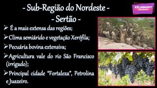 - Sub-Região do Nordeste -
- Sertão -
➢ É a mais extensadas regiões;
➢Climasemiárido e vegetaçãoXerófila;
➢Pecuáriabovinaextensiva;
➢Agricultura vale do rio São Francisco
(irrigado);
➢Principal cidade “Fortaleza”, Petrolina
e Juazeiro.
 