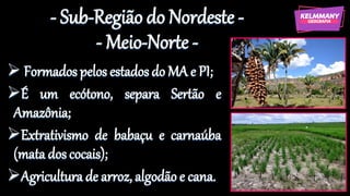 - Sub-Região do Nordeste -
- Meio-Norte -
➢ Formados pelos estadosdo MA e PI;
➢É um ecótono, separa Sertão e
Amazônia;
➢Extrativismo de babaçu e carnaúba
(mata dos cocais);
➢Agricultura de arroz, algodão e cana.
 