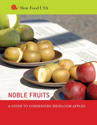 Noble Fruits A guide to conserving heirloom apples 1
A guide to conserving heirloom apples
Noble Fruits
 