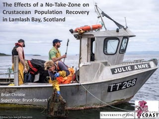 The Effects of a No-Take-Zone on
Crustacean Population Recovery
in Lamlash Bay, Scotland
©Andrew Testa, New York Times (2015)
Brian Christie
Supervisor: Bryce Stewart
 