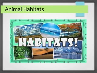 Animal Habitats
 