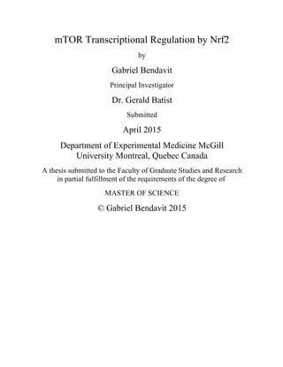 mTOR Transcriptional Regulation by Nrf2
by
Gabriel Bendavit
Principal Investigator
Dr. Gerald Batist
Submitted
April 2015
Department of Experimental Medicine McGill
University Montreal, Quebec Canada
A thesis submitted to the Faculty of Graduate Studies and Research
in partial fulfillment of the requirements of the degree of
MASTER OF SCIENCE
© Gabriel Bendavit 2015
 