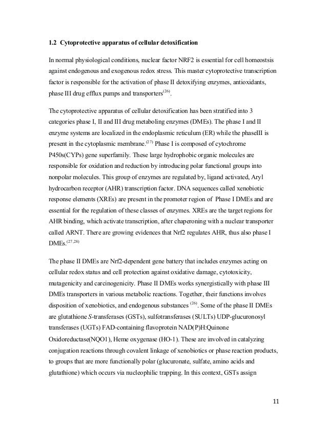 What is a dissertation picture