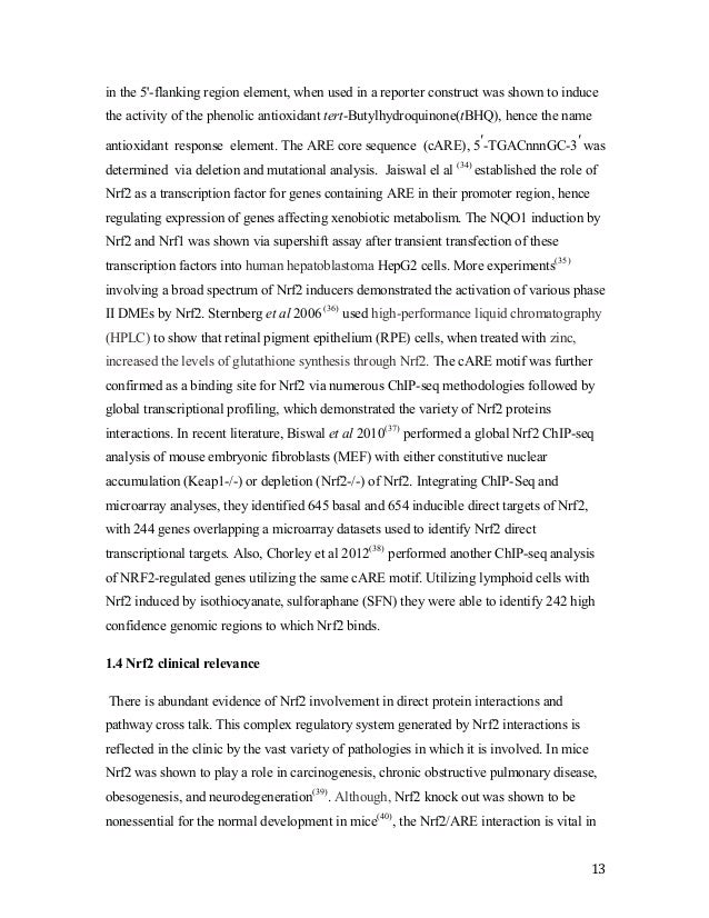 Phd dissertation image