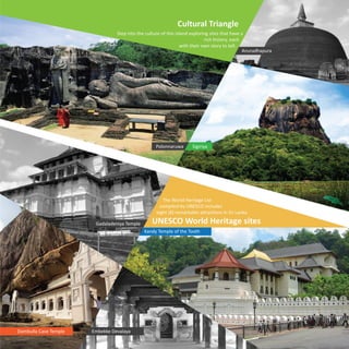 e - Brochure  Travolic Ventures