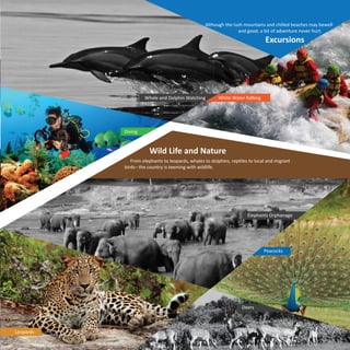 e - Brochure  Travolic Ventures