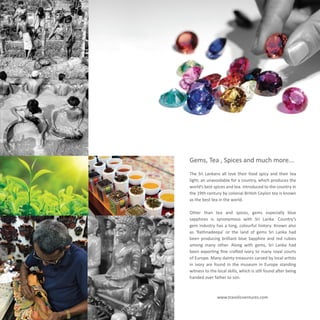 e - Brochure  Travolic Ventures