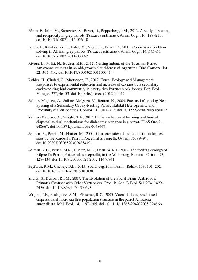 African grey parrots dissertation