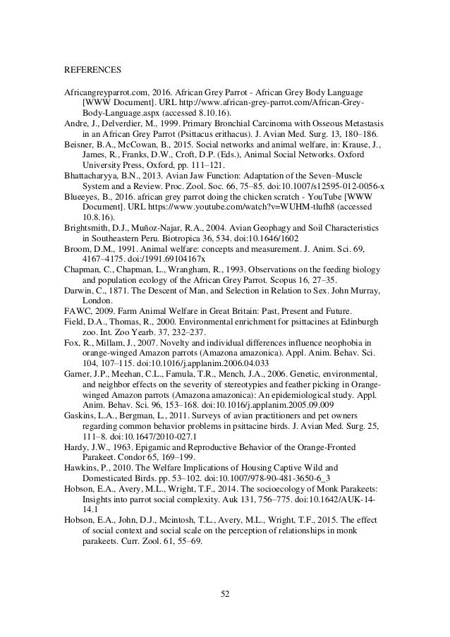 African grey parrots dissertation