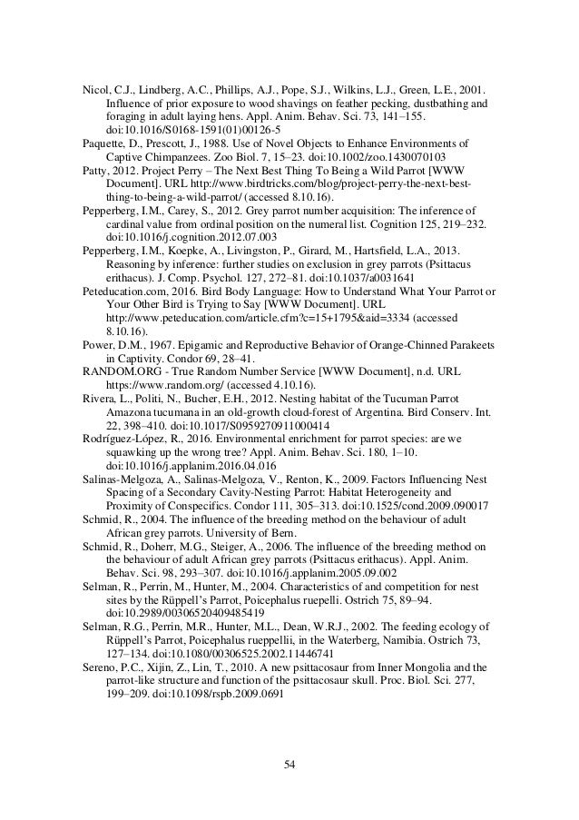 African grey parrots dissertation