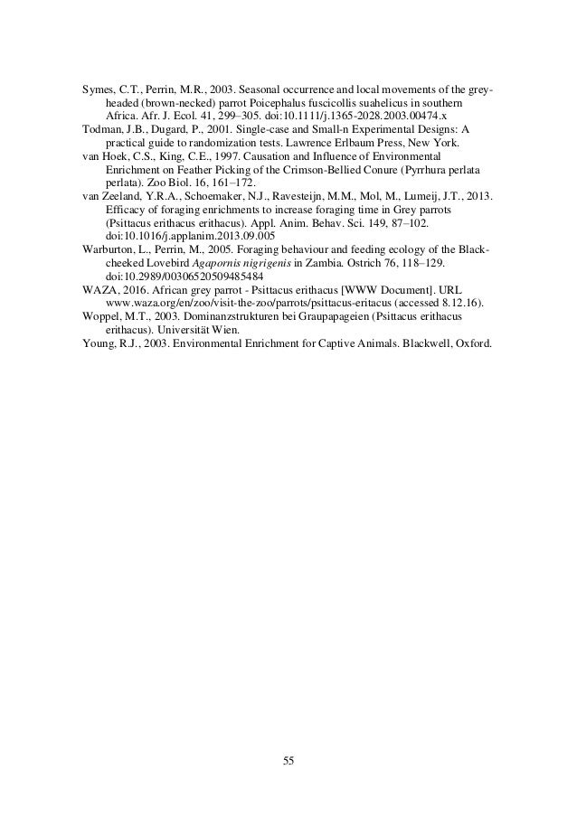 African grey parrots dissertation