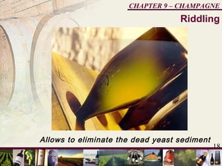 18
CHAPTER 9 – CHAMPAGNE
Allows to eliminate the dead yeast sediment
Riddling
 