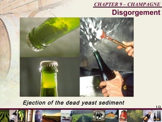 19
CHAPTER 9 – CHAMPAGNE
Ejection of the dead yeast sediment
Disgorgement
 