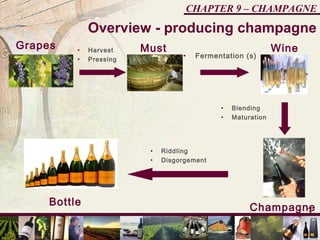 3
CHAPTER 9 – CHAMPAGNE
Grapes Must• Harvest
• Pressing
Wine
• Fermentation (s)
Champagne
• Blending
• Maturation
Bottle
• Riddling
• Disgorgement
Overview - producing champagne
 