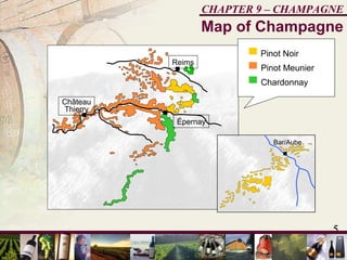 5
CHAPTER 9 – CHAMPAGNE
Château
Thierry
Épernay
Reims
Pinot Noir
Pinot Meunier
Chardonnay
Bar/Aube
Map of Champagne
 