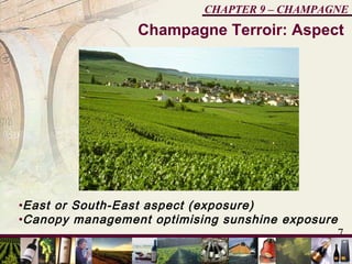 7
CHAPTER 9 – CHAMPAGNE
•East or South-East aspect (exposure)
•Canopy management optimising sunshine exposure
Champagne Terroir: Aspect
 