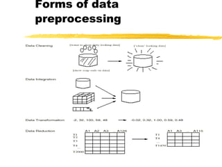 Forms of data
preprocessing
 
