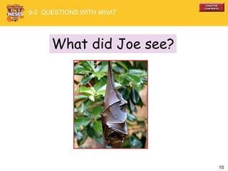 10
What did Joe see?
9-2 QUESTIONS WITH WHAT
 