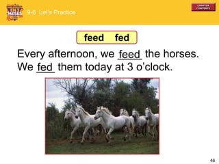 46
Every afternoon, we ____ the horses.
We ___ them today at 3 o’clock.fed
feed
9-6 Let’s Practice
feed fed
 