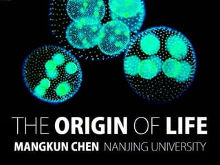 THE ORIGIN OF LIFE