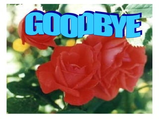 E9 unit 1-language forcus