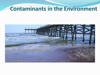 Contaminants in the Environment
 