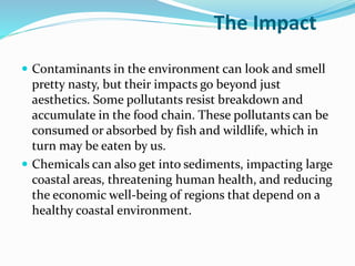 The Impact
 Contaminants in the environment can look and smell
pretty nasty, but their impacts go beyond just
aesthetics. Some pollutants resist breakdown and
accumulate in the food chain. These pollutants can be
consumed or absorbed by fish and wildlife, which in
turn may be eaten by us.
 Chemicals can also get into sediments, impacting large
coastal areas, threatening human health, and reducing
the economic well-being of regions that depend on a
healthy coastal environment.
 