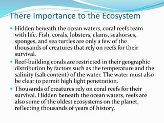 There Importance to the Ecosystem
 Hidden beneath the ocean waters, coral reefs team
with life. Fish, corals, lobsters, clams, seahorses,
sponges, and sea turtles are only a few of the
thousands of creatures that rely on reefs for their
survival.
 Reef-building corals are restricted in their geographic
distribution by factors such as the temperature and the
salinity (salt content) of the water. The water must also
be clear to permit high light penetration.
 Thousands of creatures rely on coral reefs for their
survival. Hidden beneath the ocean waters, reefs are
also some of the oldest ecosystems on the planet,
reflecting thousands of years of history.
 