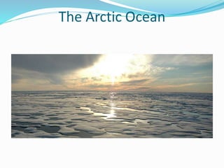 The Arctic Ocean
 