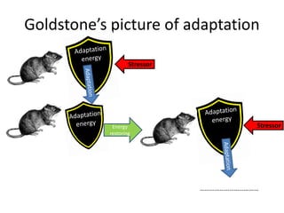 Goldstone’s picture of adaptation
Stressor
StressorEnergy
restoring
………………………………
 