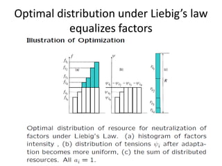Optimal distribution under Liebig’s law
equalizes factors
 