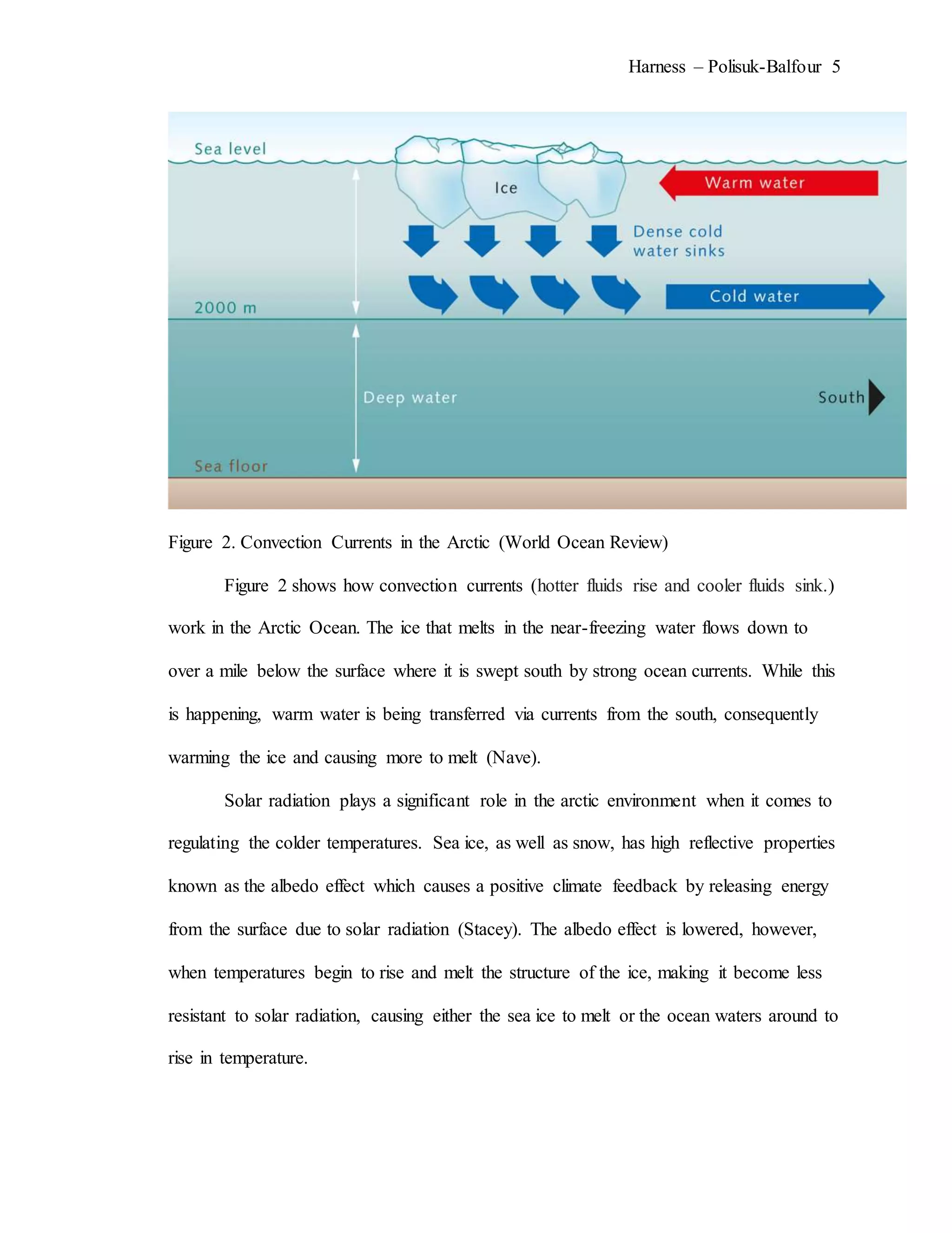 Harness – Polisuk-Balfour 5
Figure 2. Convection Currents in the Arctic (World Ocean Review)
Figure 2 shows how convection currents (hotter fluids rise and cooler fluids sink.)
work in the Arctic Ocean. The ice that melts in the near-freezing water flows down to
over a mile below the surface where it is swept south by strong ocean currents. While this
is happening, warm water is being transferred via currents from the south, consequently
warming the ice and causing more to melt (Nave).
Solar radiation plays a significant role in the arctic environment when it comes to
regulating the colder temperatures. Sea ice, as well as snow, has high reflective properties
known as the albedo effect which causes a positive climate feedback by releasing energy
from the surface due to solar radiation (Stacey). The albedo effect is lowered, however,
when temperatures begin to rise and melt the structure of the ice, making it become less
resistant to solar radiation, causing either the sea ice to melt or the ocean waters around to
rise in temperature.
 