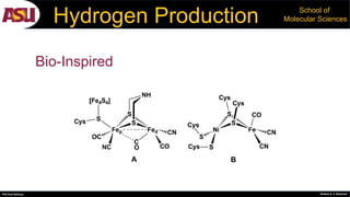 PhD Oral Defense Shobeir K. S. Mazinani
School of
Molecular SciencesHydrogen Production
Bio-Inspired
 