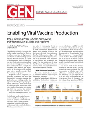 R E P R I N T F R O M
Implementing Process-Scale Adenovirus
Purification with a Single-Use Platform
Amélie Boulais, Nick Hutchinson,
and Fritjof Linz
The biopharmaceutical industry has
tended to adopt manufacturing platforms
to reduce both process development costs
and the time taken for new drugs to reach
the clinic. Platform processes are capable
of producing many similar products from
the same family with only minor adjust-
ments to operating parameters. This al-
lows companies to avoid having to “re-
invent the wheel” for every new product
that is in development while enabling
them to draw upon best practices identi-
fied from previous projects.
Biopharmaceutical companies can
implement recombinant viral vector plat-
forms with a completely single-use flow
path rather than installing stainless steel
equipment. Installing and qualifying sin-
gle-use technology is much easier, cheap-
er, and faster than multiple-use equip-
ment. It allows for closed system process-
ing that is vital when the viral vaccine is
too large for sterilization by filtration.
Single-use technologies improve vac-
cine safety by both reducing the risk of
product cross-contamination and batch-
to-batch contamination. Membrane ad-
sorbers are a single-use technology that
has proven effective in virus purification.
They have high capacities and give excel-
lent yields because the macroporous struc-
ture of the membrane allows the viruses
to enter the inner pore surface easily and
rapidly. The virus has access to all of the
ligands because of the absence of a steric
exclusion effect. The design of membrane
adsorbers is continuing to evolve.
Novel Membrane Chemistries
This tutorial describes the production
of adenovirus with the single-use plat-
form shown in Figure 1.
Sartorius Stedim Biotech (SSB) has as-
sembled the platform from existing and
proven technologies, available from lab
to production scale, that meet the qual-
ity requirements of the vaccine indus-
try. The approach has been successfully
demonstrated for the purification of an
Adenovirus serotype 5 vector, at the 20
L scale. It allows the complete purifica-
tion of the vaccine in one day. Table 1
shows the performance of the platform
straight-from-the-box and with minimal
optimization.
The process starts in the bioreac-
tor with the infection of HEK293 cells
grown in a serum-free media. The cell
concentration at infection was 1x106
cells/mL and a multiplicity of infection of
five. Performing a cell lysis step at the end
of the cell culture maximizes the yield of
virus particles from the bioreactor but
also releases large quantities of DNA.
EnablingViralVaccine Production
September 15, 2016
GENengnews.com
BIOPROCESSING
Tutorial
Amélie Boulais (amelie.boulais@sartorius-
stedim.com) is Process Development
Consultant, Integrated Solutions, Dr. Nick
Hutchinson works as technical content
manager, and Fritjof Linz, Ph.D., is vp,
purification, all at Sartorius Stedim Biotech.
Website: www.sartorius.com.
LeadingtheWayinLifeScienceTechnologies
Figure 1. A single-use platform process for viral vaccine production
 
