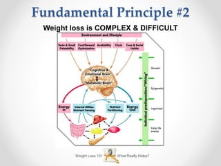 Fundamental Principle #2
What Really Helps?Weight Loss 101
Weight loss is COMPLEX & DIFFICULT
 