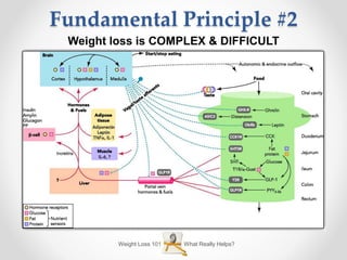 Fundamental Principle #2
Weight loss is COMPLEX & DIFFICULT
What Really Helps?Weight Loss 101
 