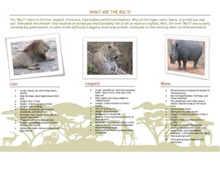 WHAT ARE THE BIG 5?
The “Big 5” refers to the lion, leopard, rhinoceros, Cape buffalo and African elephant. Why not the hippo, zebra, hyena, or giraffe you may
ask? How about the cheetah—that would be an animal you would probably like to see as much as a buffalo. Well, the term “Big 5” was actually
coined by big game hunters. It refers to the difficulty in bagging these large animals, mostly due to their ferocity when cornered and shot at.
Lion
 Large, robust cat, with a long heavy
muzzle
 Male develops mane beginning in third
year
 Length: 8 to 11 feet
 Height: 3 feet 8 inches to 4 feet
 Weight: 268 to 528 lbs.
 Habitat: Grasslands and savannas,
woodlands, and dense bush
 Breeding: Year round; 1 to 4 cubs; 3.5
months’ gestation
 Prides include up to 30 or 40 lions
 Females are lifelong residents of their
mothers’ territories
 Adolescent males roamas nomads until
they mature
Leopard
 Large, spotted cat, with short powerful
limbs, heavy torso, thick neck, and
long tail
 Short sleek coat tawny yellow to
reddish brown
 Length: 3 feet 4 inches to 4 feet 2
inches
 Tail: 27 to 32 inches
 Height: 23 to 28 inches
 Weight 62 to 143 pounds
 Habitat: Everytype exceptinterior of
large deserts
 Breeding: 1 to 4 cubs born year round
 Solitary and territorialbut sometimes
shares huntingranges
 Eats whatever formof animal protein
is available
Rhino
 Rhinocerosesare among the largest of
the herbivores
 Barrel-shaped bodies, thicklegs, and
three-toed feet
 Very long head, with wide square
mouth; massive hump at the top of
neck
 Horns on both sexes
 Slate-gray to yellow-brown
 Length: 11 feet 4 inches to 13 feet 4
inches
 Height: 5 feet 4 inches to 6 feet 2
inches
 Weight: 3,740 to 5,060 pounds
 Habitat: Savannaswith shade trees,
water holes, and mud wallows
 Breeding: 1 calf born in March or April
 Nearly pure grazer
 Form peer groups; males defend
territories
 