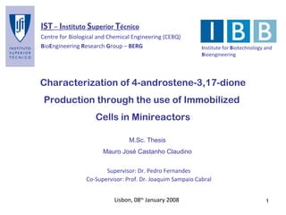 Characterization of 4-androstene-3,17-dione
Production through the use of Immobilized
Cells in Minireactors
Lisbon, 08th
January 2008
IST – Instituto Superior Técnico
Centre for Biological and Chemical Engineering (CEBQ)
BioEngineering Research Group – BERG
Supervisor: Dr. Pedro Fernandes
Co-Supervisor: Prof. Dr. Joaquim Sampaio Cabral
Institute for Biotechnology and
Bioengineering
M.Sc. Thesis
Mauro José Castanho Claudino
1
 
