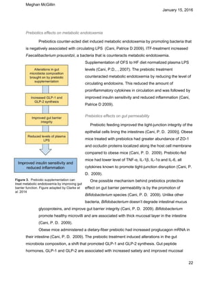 Gut microbiota and Endotoxemia | PDF