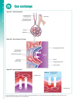 e9X5C2_anatomy physiology.pdf daily basis with good notes | PDF