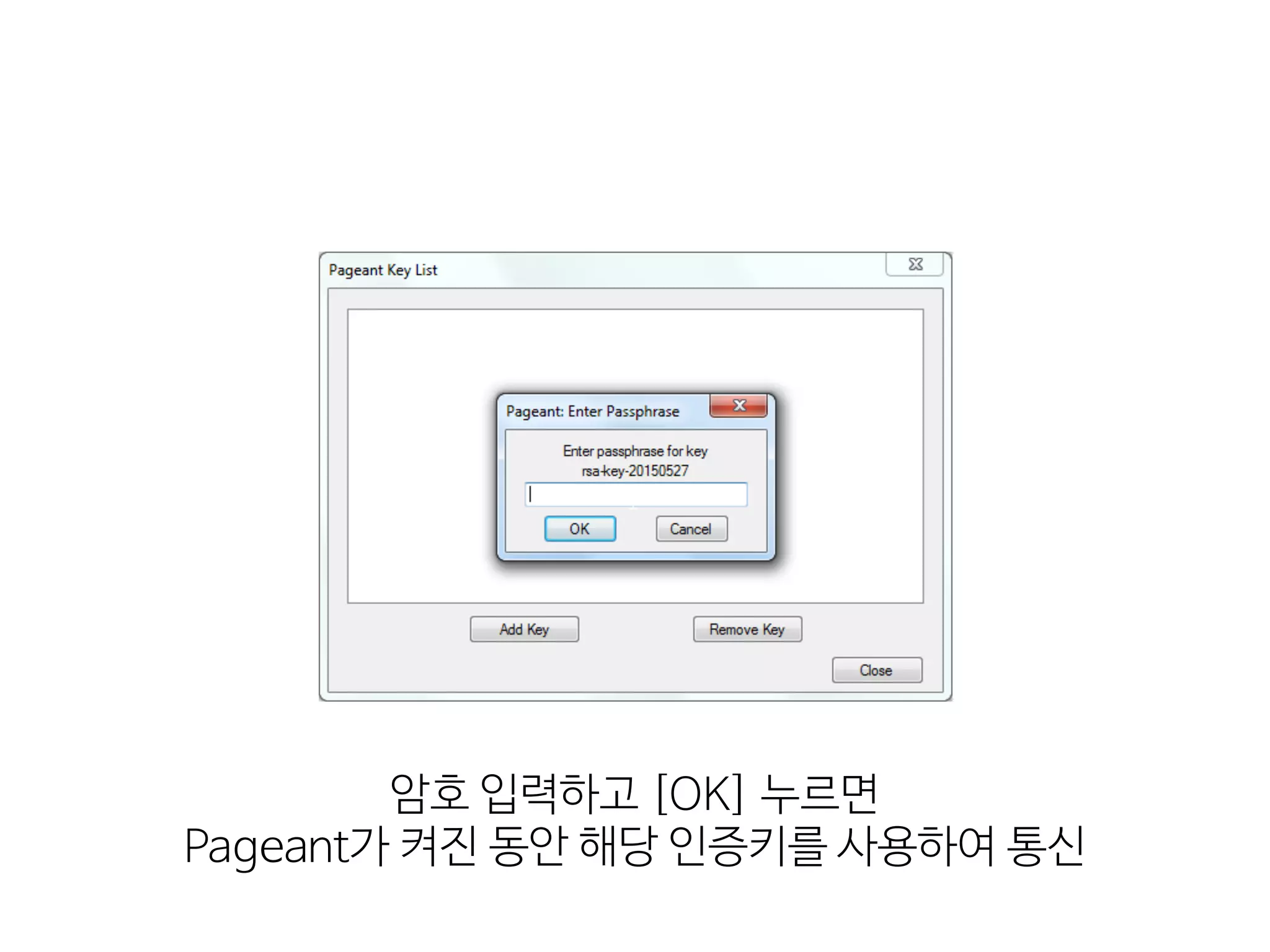 암호  입력하고  [OK]  누르면 
Pageant가  켜진  동안  해당  인증키를  사용하여  통신
 
