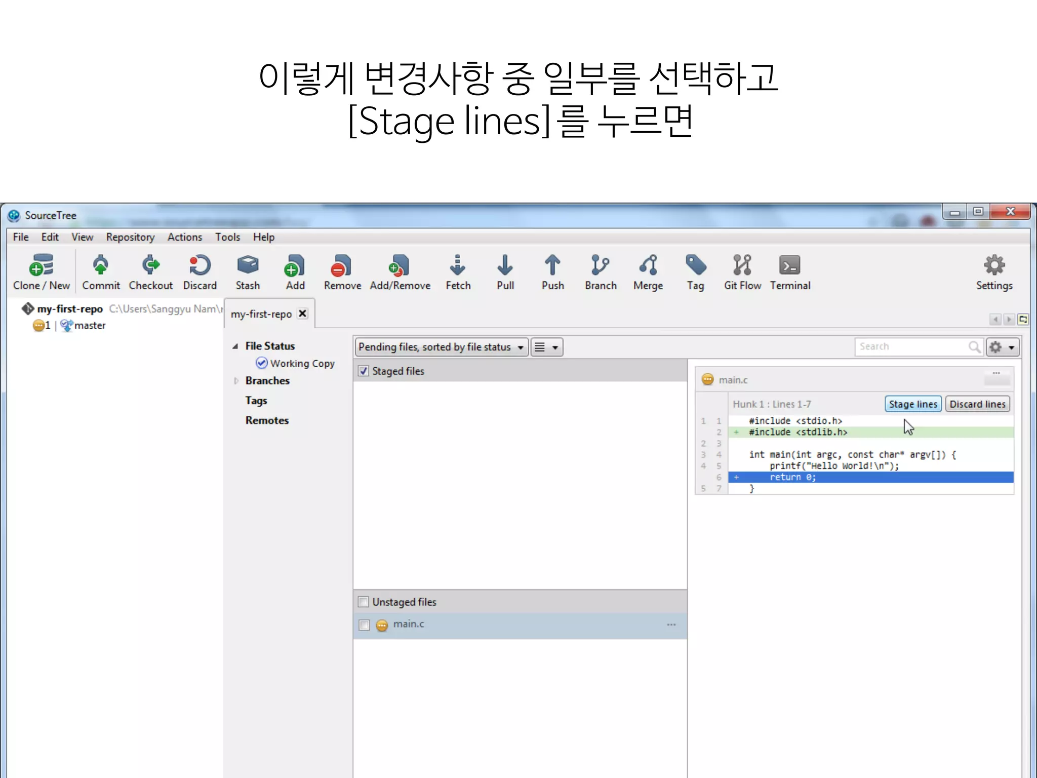 이렇게  변경사항  중  일부를  선택하고 
[Stage  lines]를  누르면
 